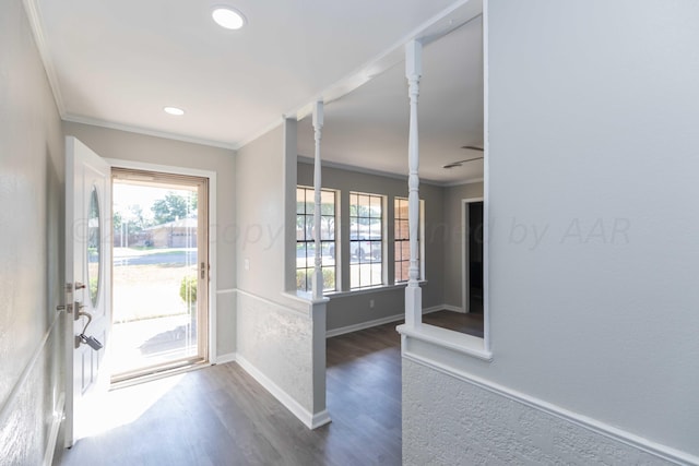 entryway with dark hardwood / wood-style flooring, a healthy amount of sunlight, and crown molding