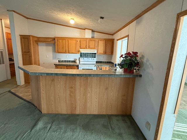 1046 S Farley St, Pampa, TX 79065 - kitchen with white range with electric cooktop, crown molding, under cabinet range hood, light colored carpet, and lofted ceiling