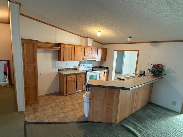 1046 S Farley St, Pampa, TX 79065 - kitchen featuring electric range, a peninsula, lofted ceiling, ornamental molding, and under cabinet range hood