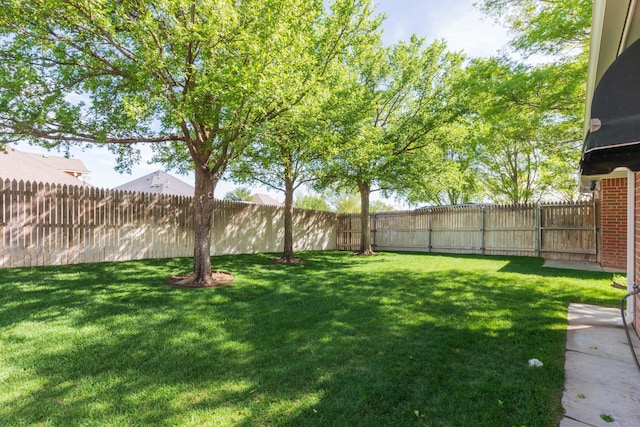 6504 Bayberry Ln, Amarillo, TX 79124 - view of yard