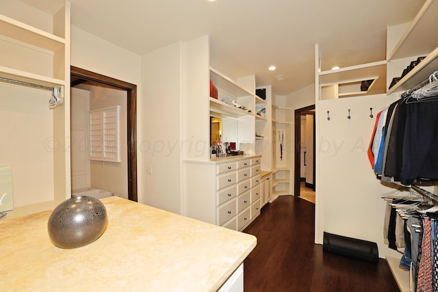 walk in closet featuring dark wood-type flooring