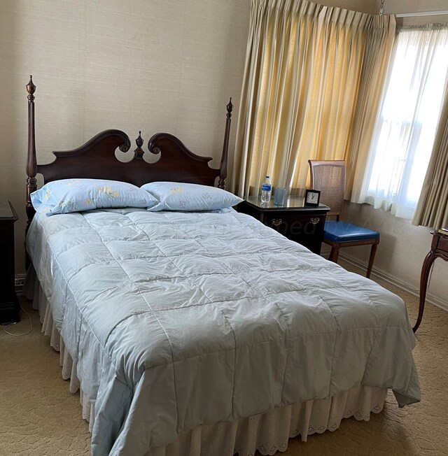 bedroom with carpet floors