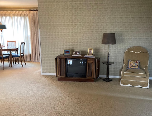 sitting room with carpet