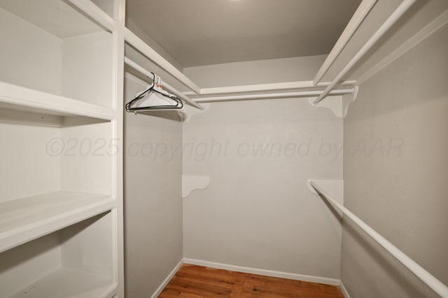 walk in closet with hardwood / wood-style floors