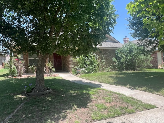4207 Ross St, Amarillo, TX 79118 - view of green lawn