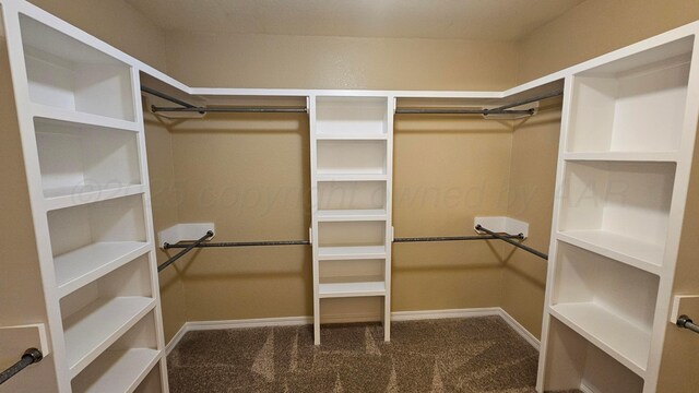 4207 Ross St, Amarillo, TX 79118 - photo 15