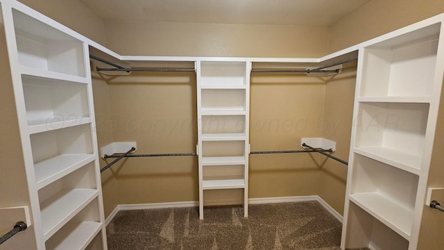 4207 Ross St, Amarillo, TX 79118 - walk in closet featuring carpet flooring