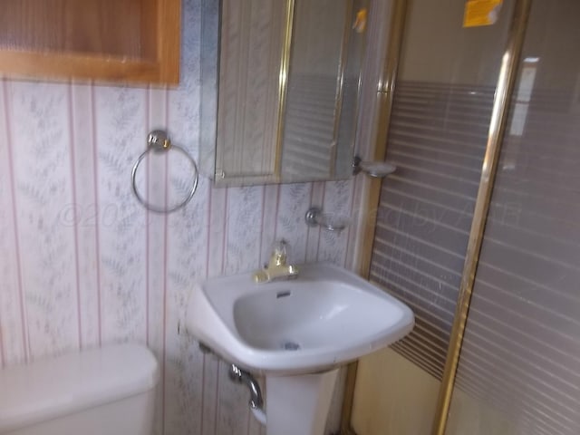 bathroom with a sink and toilet