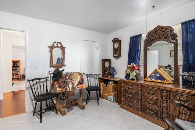 living area featuring carpet