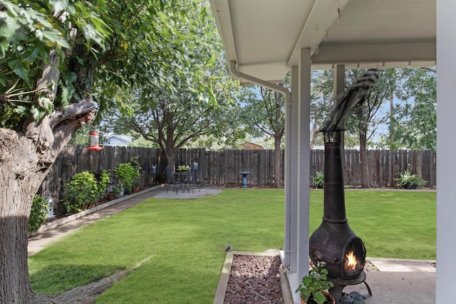 view of yard featuring a patio area