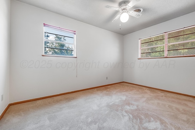 121 Bailey Ave, Dumas, TX 79029 - photo 22