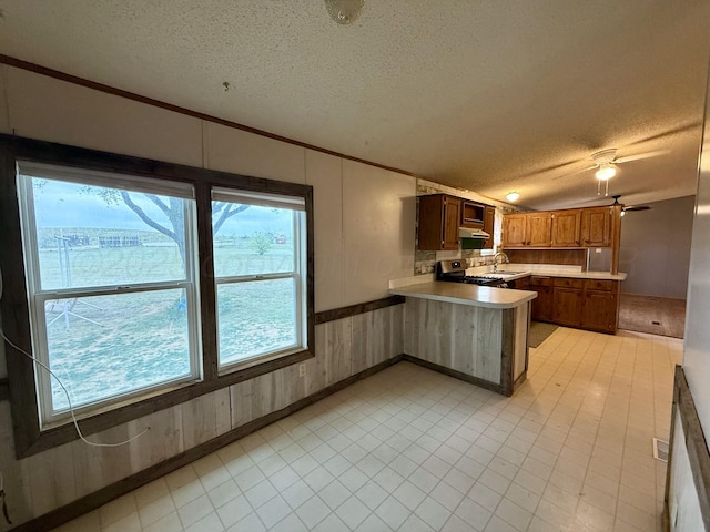 2700 Potter Dr, Amarillo, TX 79108 - kitchen featuring stainless steel stove, crown molding, a textured ceiling, and a peninsula