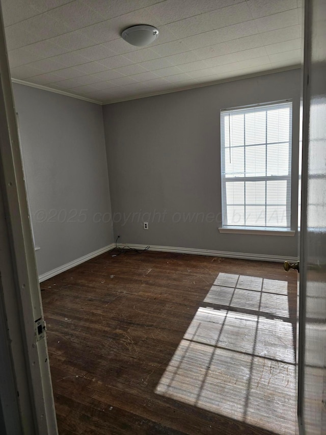 spare room with ornamental molding and dark hardwood / wood-style floors