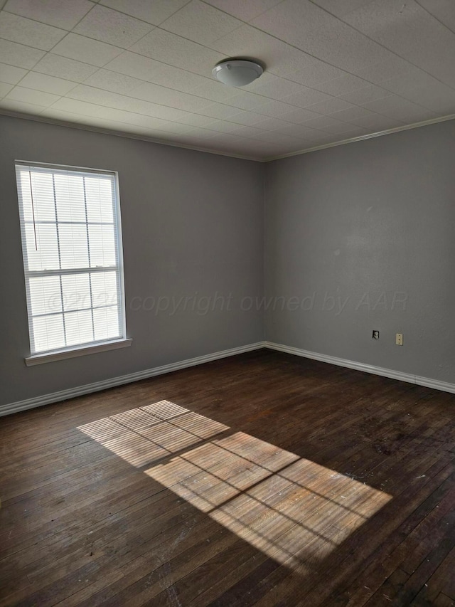 spare room with dark wood-type flooring