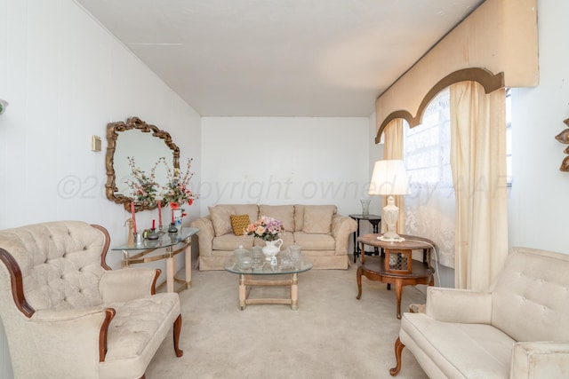 1441 NW 14th Ave, Amarillo, TX 79107 - living room with light carpet