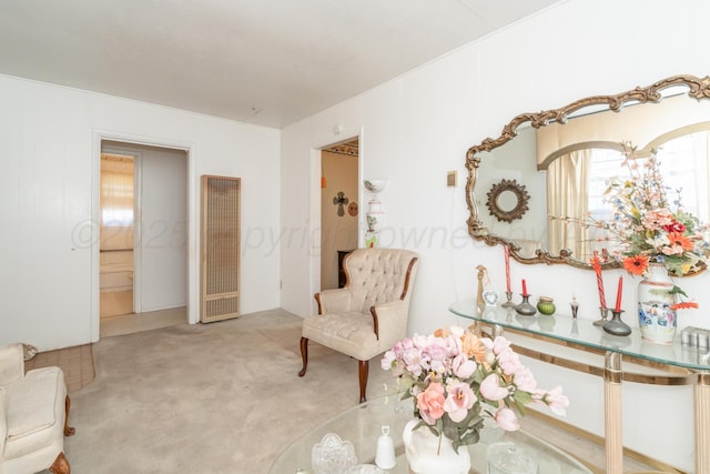 1441 NW 14th Ave, Amarillo, TX 79107 - sitting room with a heating unit and carpet floors