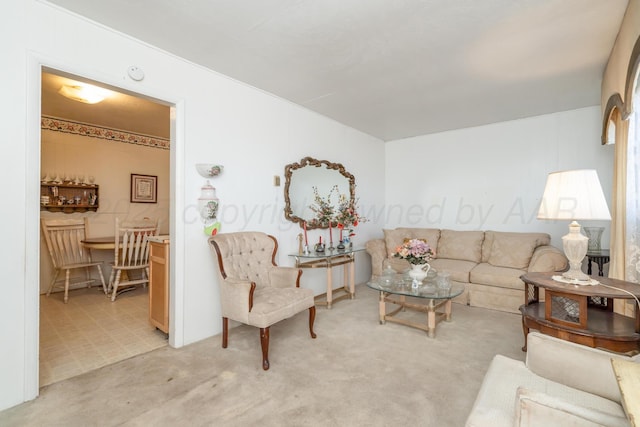 1441 NW 14th Ave, Amarillo, TX 79107 - living area featuring light colored carpet
