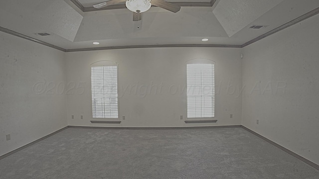 8107 Progress Dr, Amarillo, TX 79119 - unfurnished room with carpet floors, a textured ceiling, a raised ceiling, plenty of natural light, and ceiling fan