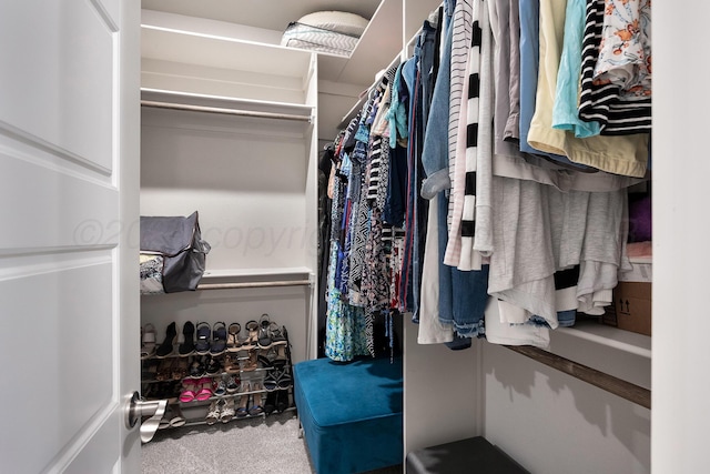 walk in closet with carpet flooring