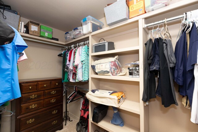 7414 Southbend Dr, Amarillo, TX 79119 - spacious closet with carpet floors