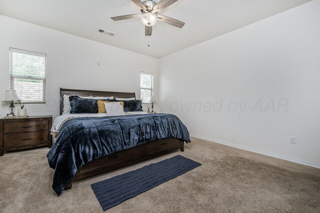 1102 Shiraz Blvd, Amarillo, TX 79124 - photo 13