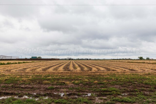 12882 W Rockwell Rd, Amarillo, TX 79119 - photo 2