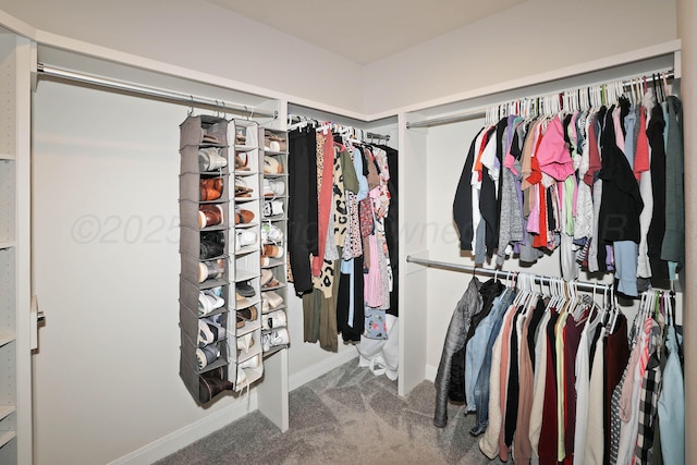 6107 Bowery, Amarillo, TX 79119 - spacious closet featuring carpet flooring