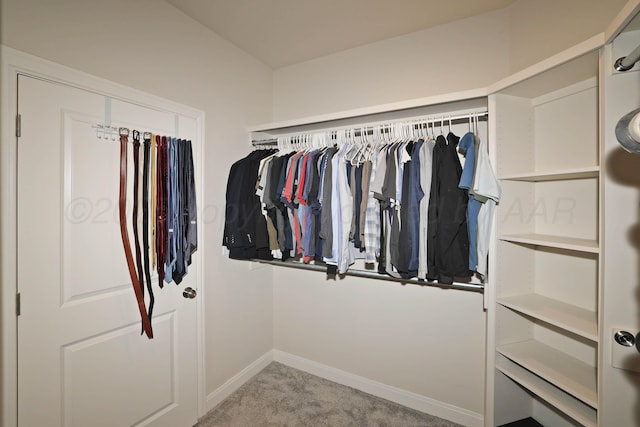 6107 Bowery, Amarillo, TX 79119 - walk in closet with carpet flooring