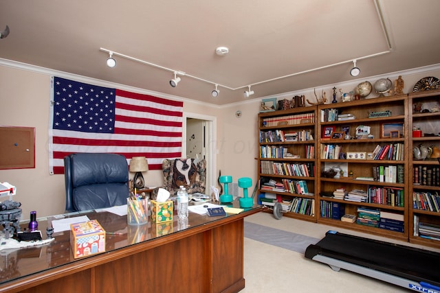 18 Cloister Pkwy, Amarillo, TX 79121 - carpeted home office with rail lighting and ornamental molding