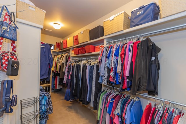 spacious closet with carpet floors