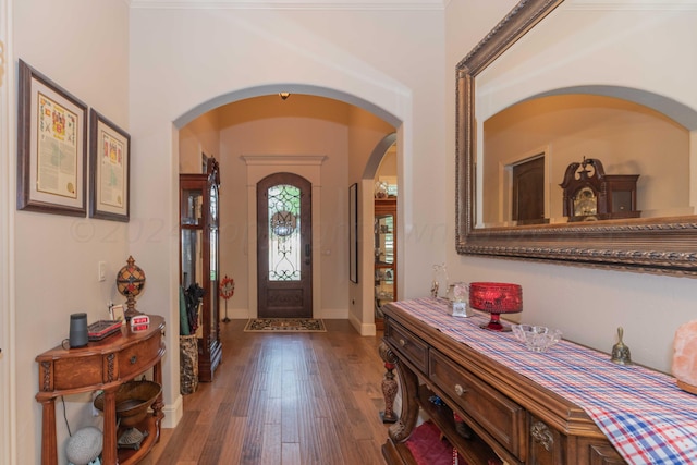 entryway featuring dark wood-type flooring