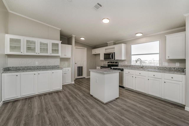 7401 Sabre Trl, Amarillo, TX 79124 - kitchen featuring appliances with stainless steel finishes, crown molding, vaulted ceiling, a sink, and dark wood-style flooring