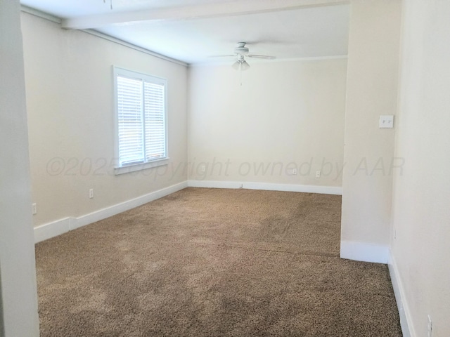 813 N Harvey St, Borger, TX 79007 - photo 6