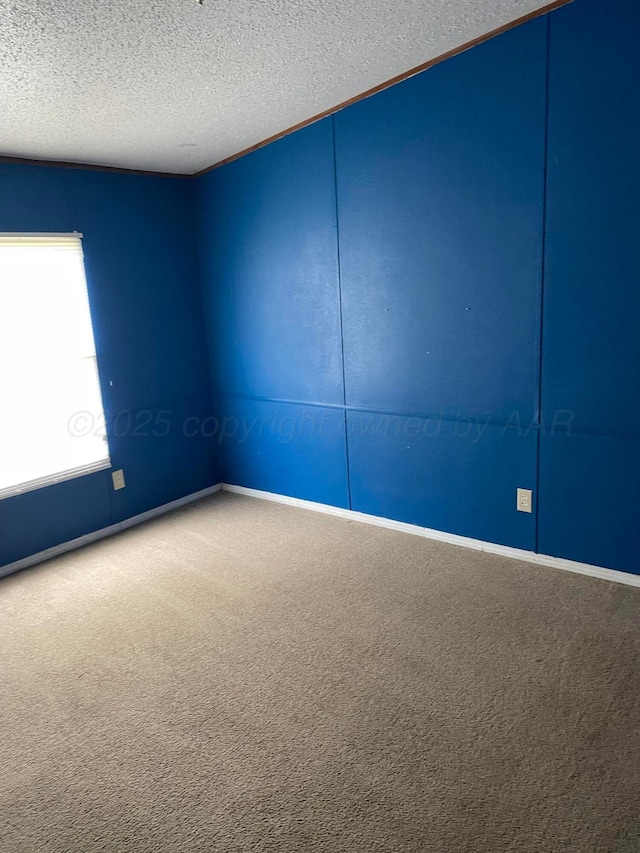 empty room featuring baseboards, carpet flooring, and a textured ceiling