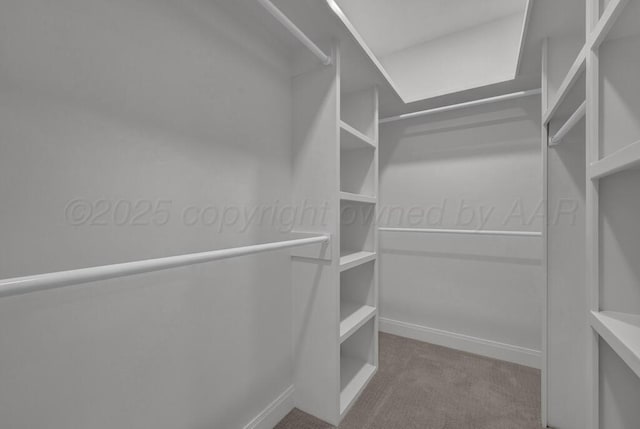 5505 Sheridan St, Amarillo, TX 79119 - walk in closet featuring carpet flooring