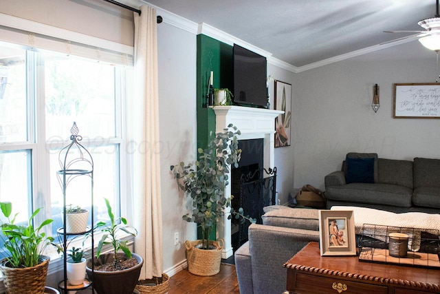 living room with crown molding, wood finished floors, ceiling fan, and a fireplace