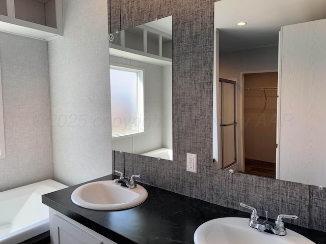6 Honeywood Pl, Dalhart, TX 79023 - full bath with a sink, a walk in closet, decorative backsplash, and a washtub