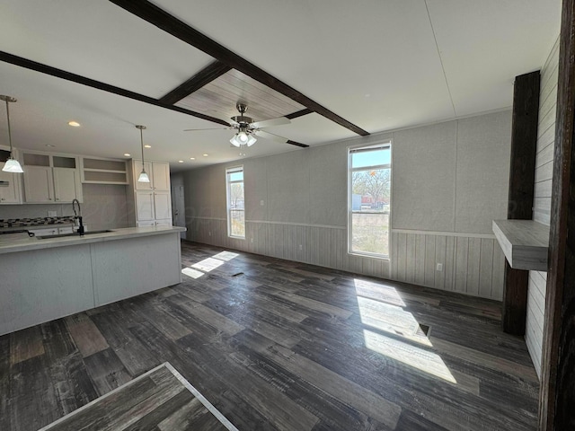 6 Honeywood Pl, Dalhart, TX 79023 - unfurnished living room featuring dark wood-style floors, a sink, a wainscoted wall, and a healthy amount of sunlight