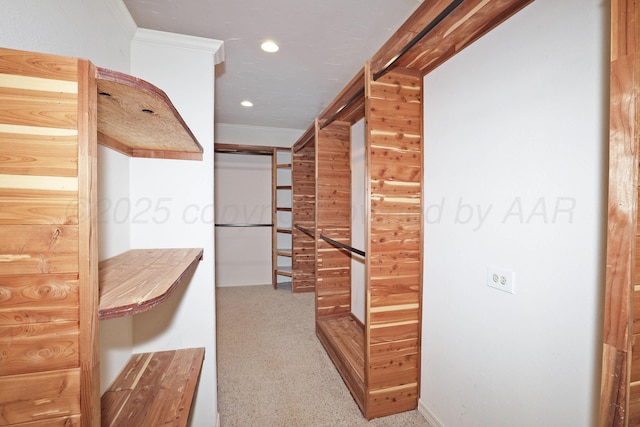 3801 Deann Dr, Amarillo, TX 79121 - spacious closet with carpet floors