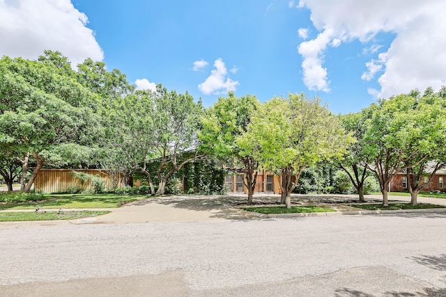 3801 Deann Dr, Amarillo, TX 79121 - view of property hidden behind natural elements
