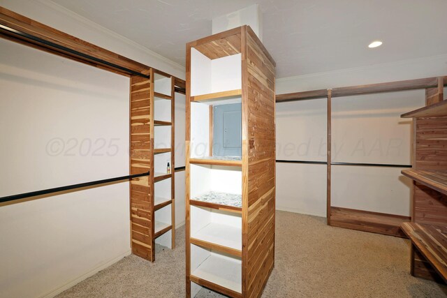 3801 Deann Dr, Amarillo, TX 79121 - spacious closet with carpet floors