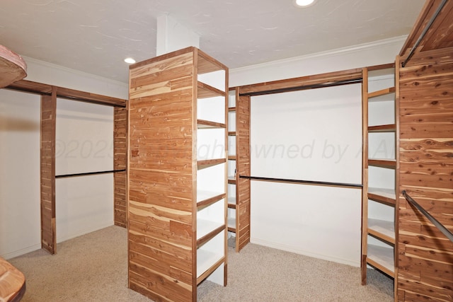 3801 Deann Dr, Amarillo, TX 79121 - walk in closet with carpet floors