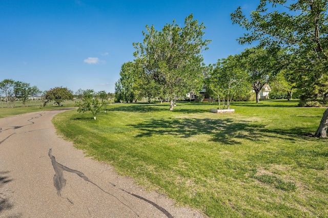 7518 Lamount Dr, Amarillo, TX 79110 - photo 13