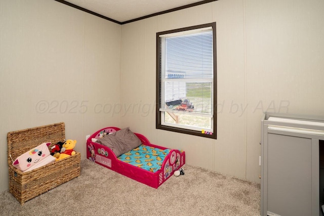 8231 Juett Attebury Rd, Amarillo, TX 79118 - photo 8