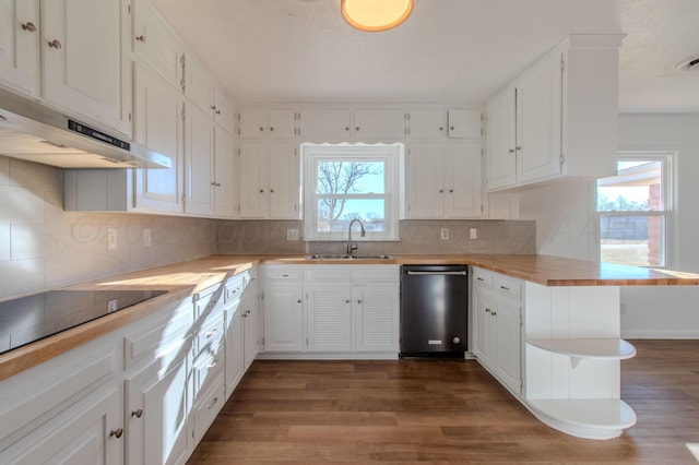 kitchen featuring a sink, under cabinet range hood, dark wood-style floors, and dishwasher