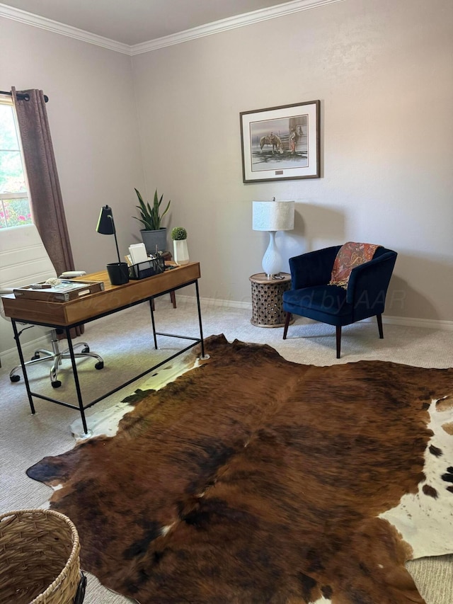 7404 Southbend Dr, Amarillo, TX 79119 - carpeted office featuring crown molding and baseboards