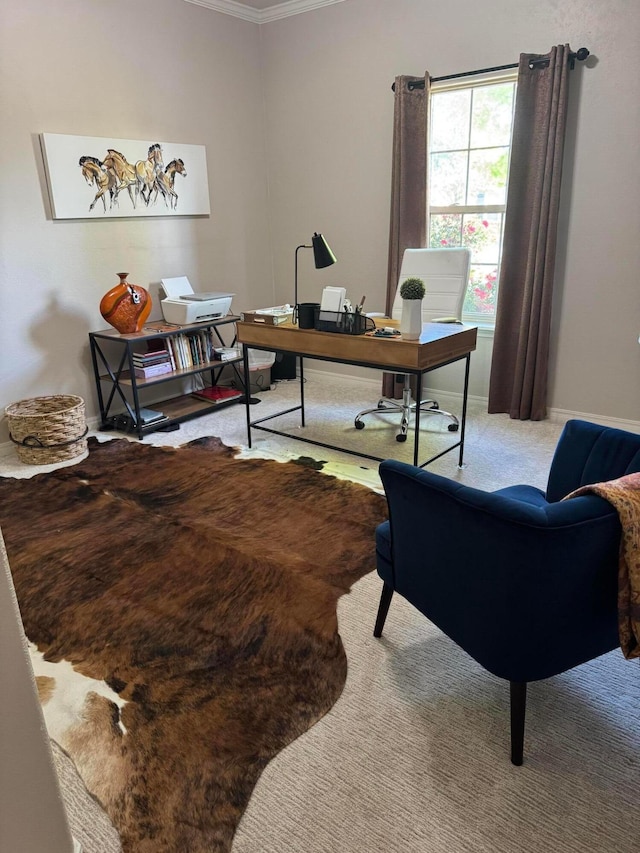 7404 Southbend Dr, Amarillo, TX 79119 - office area with carpet and crown molding