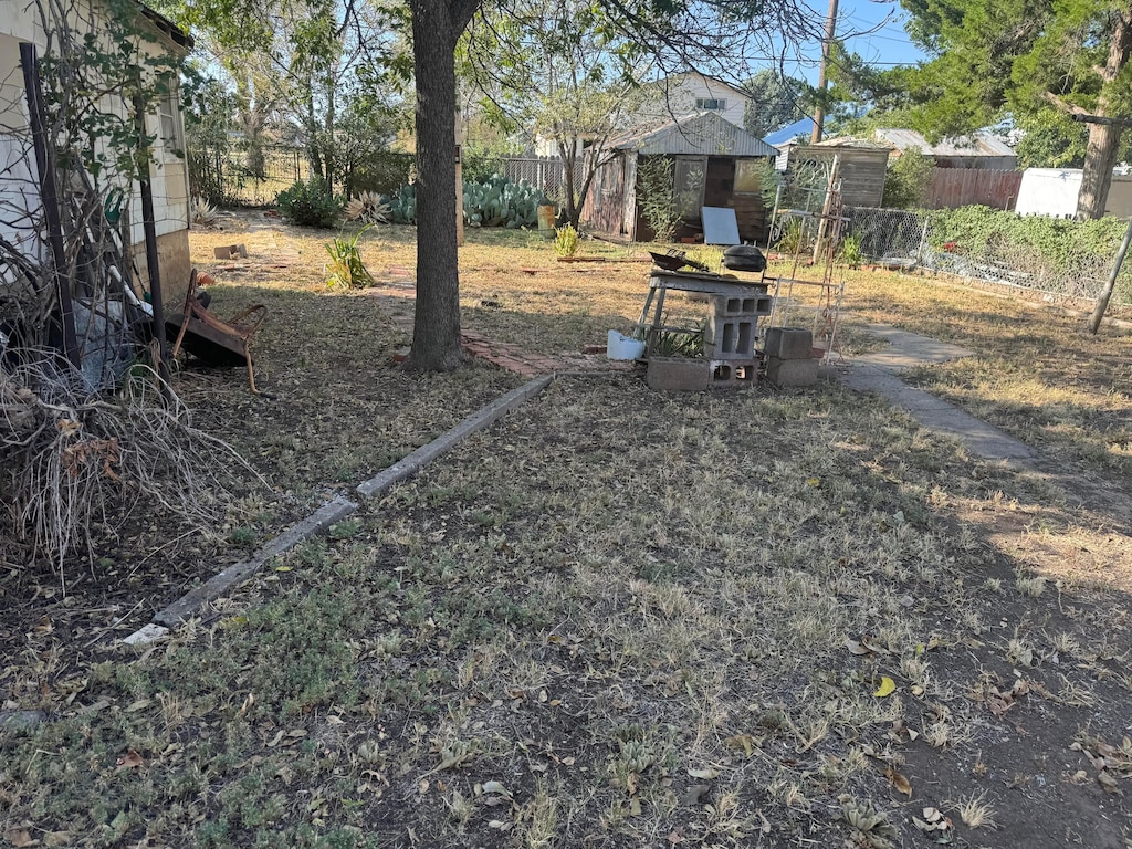 view of yard featuring a shed