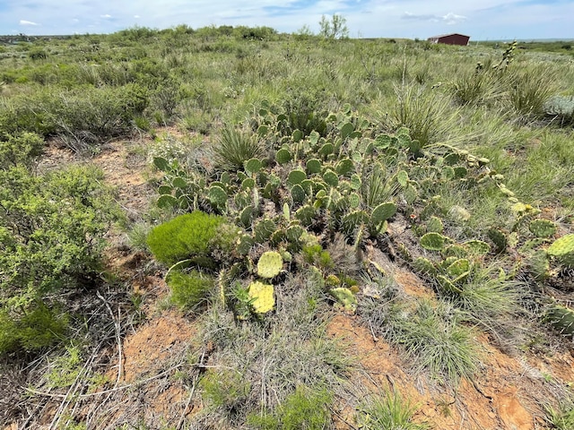 0 Tascosa Rd, Amarillo, TX 79124