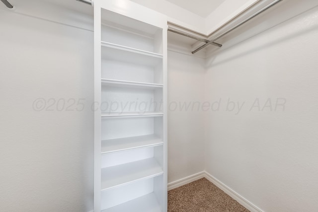 6100 Mckay Ct, Amarillo, TX 79118 - walk in closet with dark carpet